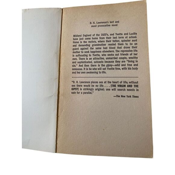 The Virgin And The Gipsy Paperback Book DH Lawrence Novel - Picture 7 of 12